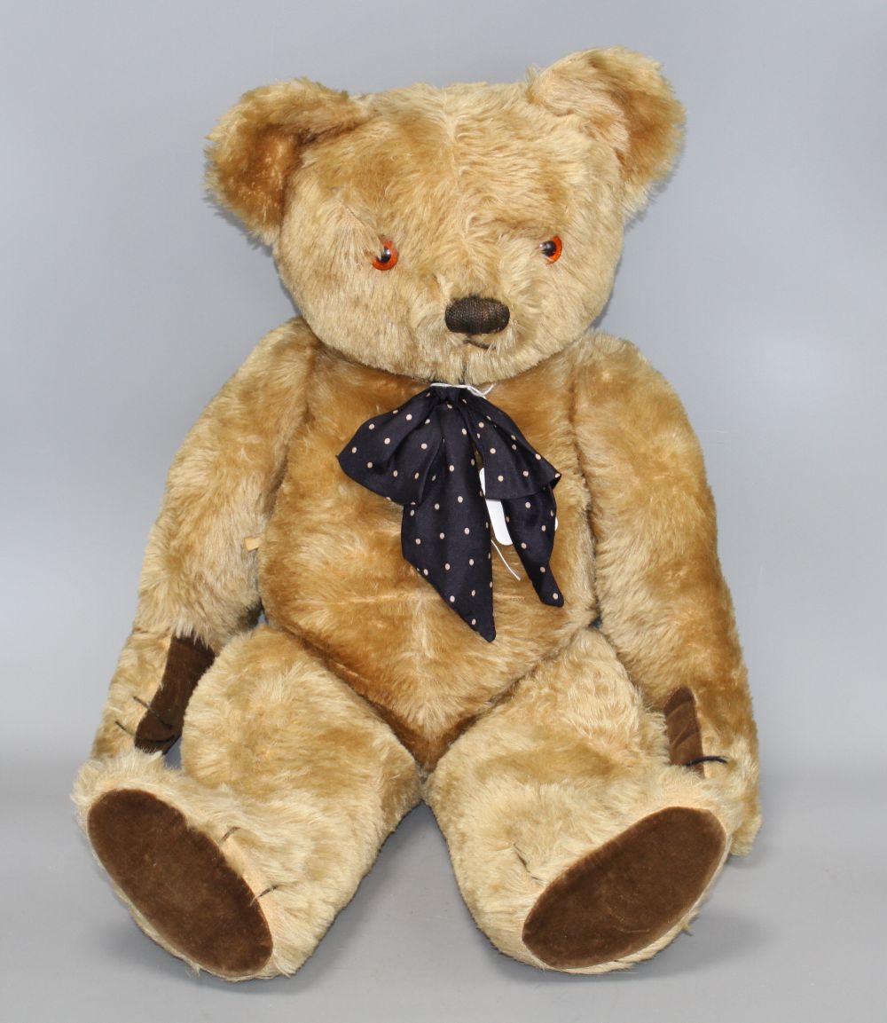 A 1950s Chad Valley bear, 26in., arm label, velvet pads